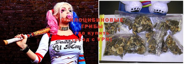 СК Гвардейск