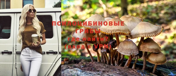 спиды Пестово