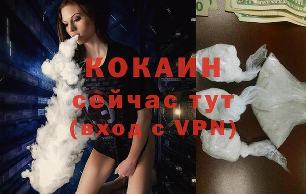 спиды Пестово