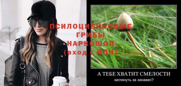 спиды Пестово