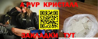 соль ск Кингисепп