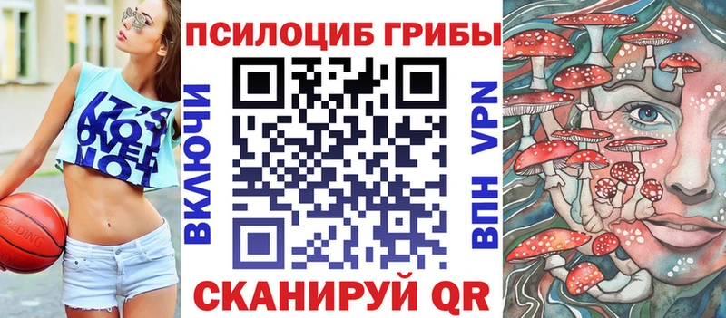 Галлюциногенные грибы Cubensis  Соль-Илецк 