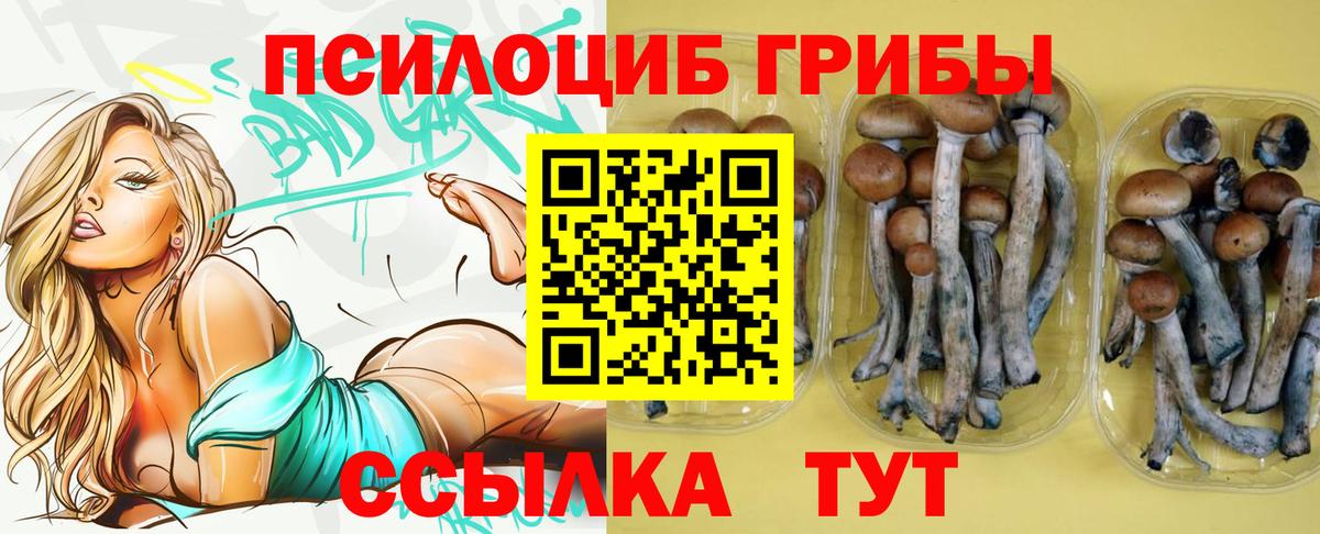 Галлюциногенные грибы мухоморы Соль-Илецк